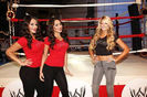 Kelly-Kelly-and-Brie-and-Nikki-Bella