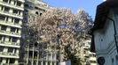 2013-04-24 18.17.54