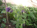 SANY0102