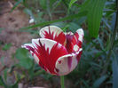 SANY0111