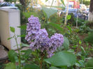 SANY0112