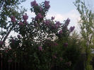 DSCN8318_3787