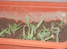 DSCN8319_3788