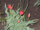 DSCN8322_3791