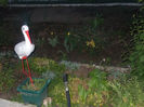 DSCN8334_3803