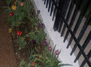 DSCN8335_3804