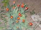 DSCN8338_3807
