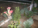DSCN8344_3813