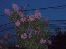DSCN8348_3817