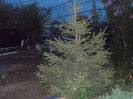 DSCN8351_3820
