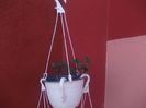 DSCN8276_3745