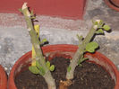 DSCN8320_3789