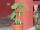 DSCN8321_3790