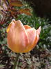 2013-04-28 13.35.29