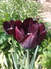 2013-04-27 11.06.47