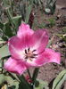 2013-04-28 13.29.45