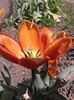 2013-04-27 12.28.27