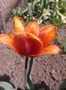 2013-04-27 12.28.08