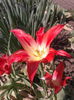 2013-04-27 11.03.26
