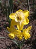 2013-04-27 11.01.58