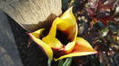 DSC06400