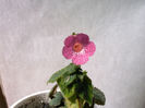IMAG0015