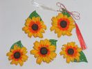 floarea soarelui 003