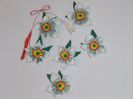 narcise de gradina 001