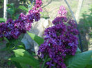 DSCN4026