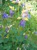 DSCN4035