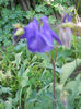 DSCN4036