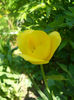 DSCN4039