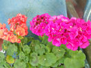 DSCN4041