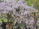 DSCN4047