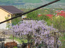 DSCN4048