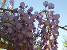 DSCN4052