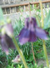 DSCN4054