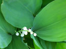 DSCN4055