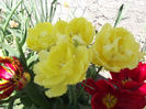 DSCF0134