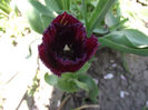 DSCF0142