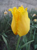 DSCF0151
