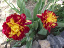 DSCF0169