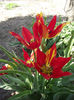 DSCF0172