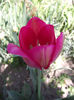 DSCF0173
