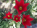 DSCF0174