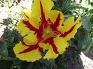 DSCF0175