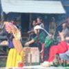 inima-de-tigan-763895l-thumbnail_gallery