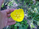 Fotogr.1069