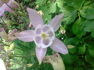 Fotogr.1073