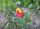DSC00399